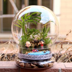 Bình thủy tinh cầu trang trí siêu dễ thương