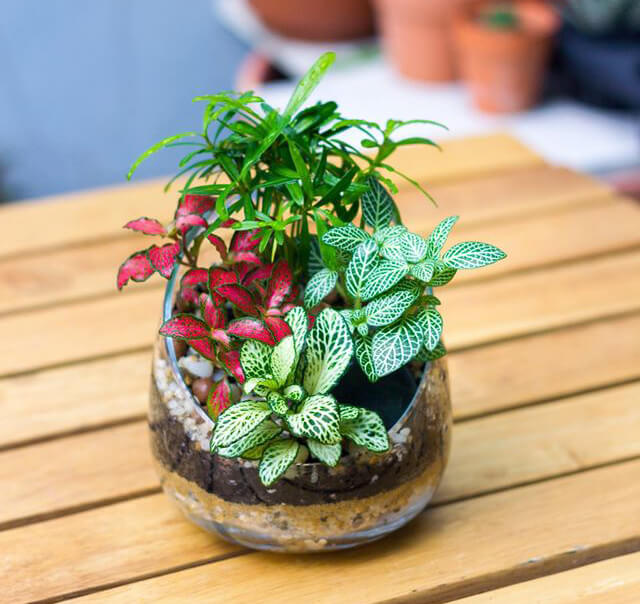 Top những món quà tặng em gái vô cùng đáng yêu Top những món quà tặng em gái vô cùng đáng yêu