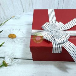 Hộp quà tặng đẹp HQ08 - Kích thước 30x20x10