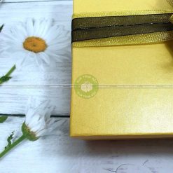 Hộp quà đẹp, hộp đựng quà cỡ lớn HQ11 – Kích thước 30x20x10