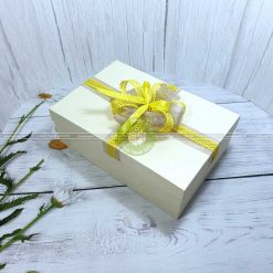 Hộp quà tặng cỡ lớn HQ14 – Kích thước 30x20x10