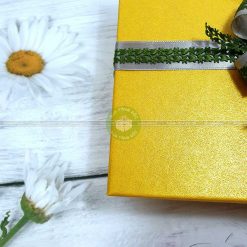 Hộp quà sinh nhật, hộp quà đẹp HQ12 – Kích thước 23x17x7