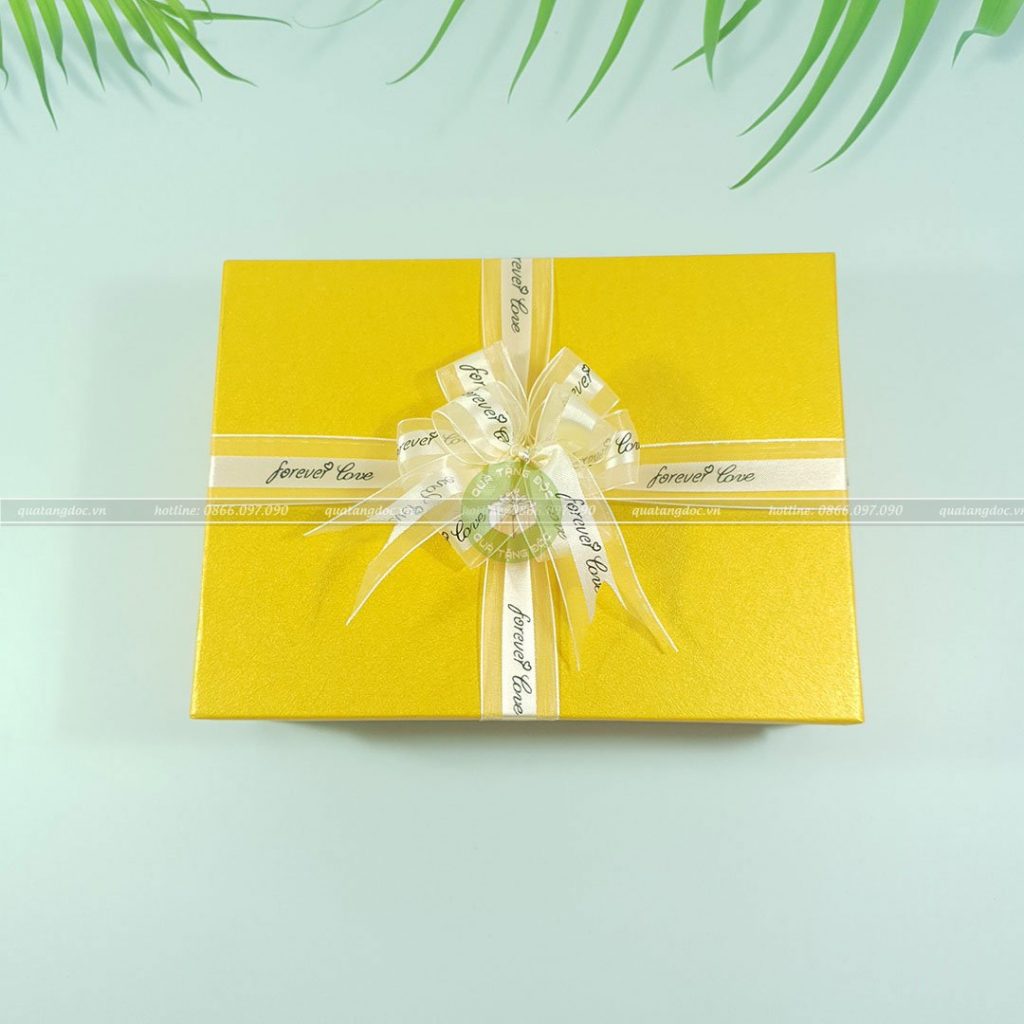 Hộp quà tặng HQ44 – 23x17x7cm