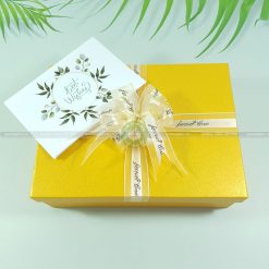 Hộp quà tặng HQ44 – 23x17x7cm