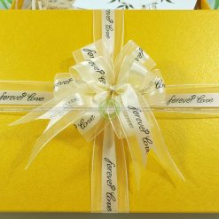 Hộp quà tặng HQ44 – 23x17x7cm