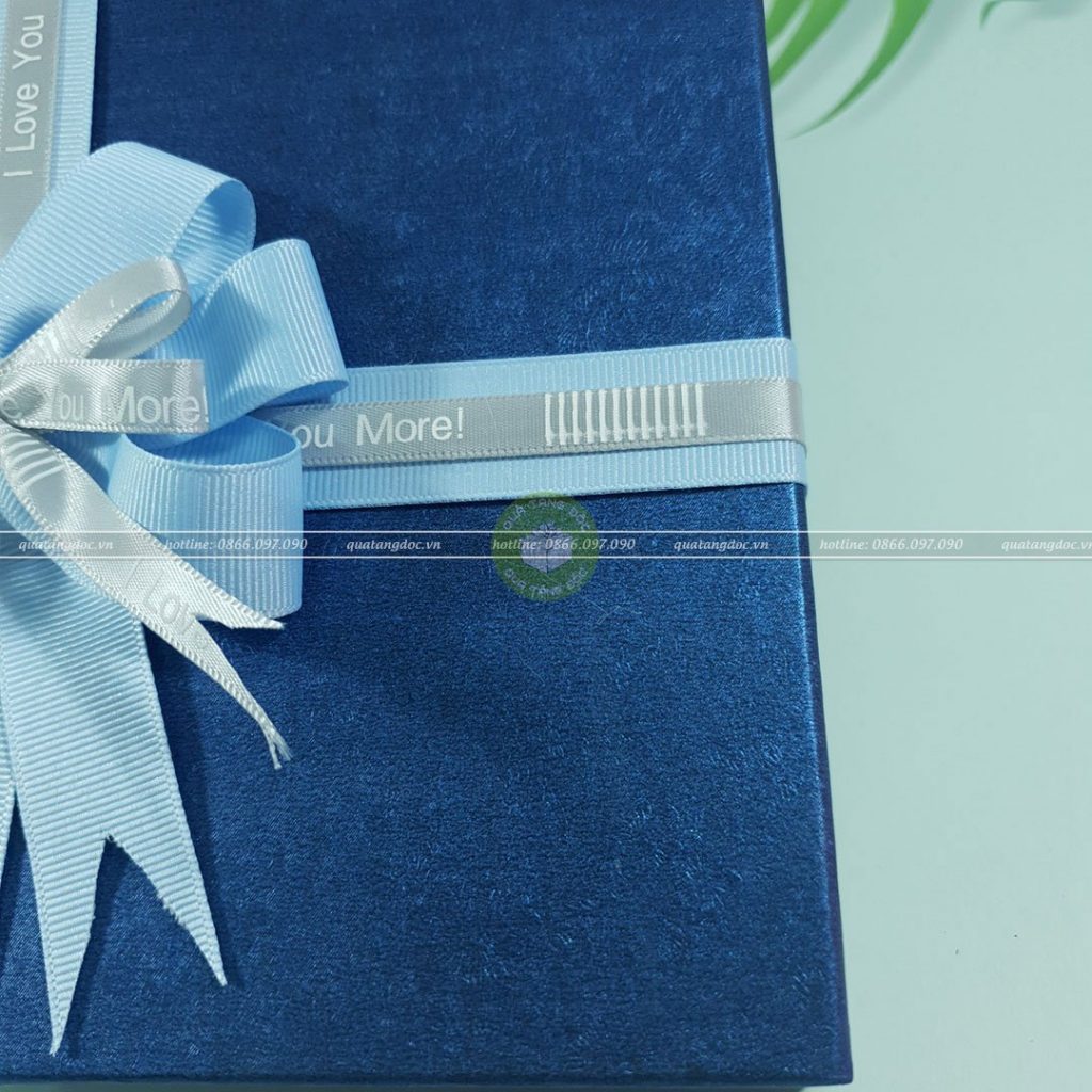 Hộp quà sinh nhật HQ42 – 23x17x7cm