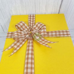 Hộp quà tặng HQ41 - 30x20x10cm