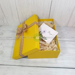 Hộp quà tặng HQ41 - 30x20x10cm