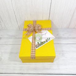 Hộp quà tặng HQ41 - 30x20x10cm