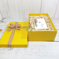 Hộp quà tặng HQ41 - 30x20x10cm