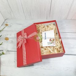 Hộp quà Sinh nhật HQ40-30x20x10cm