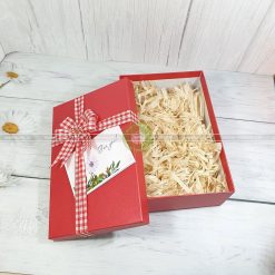 Hộp quà Sinh nhật HQ40-30x20x10cm